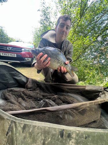 Fish Image