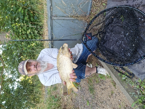 Fish Image