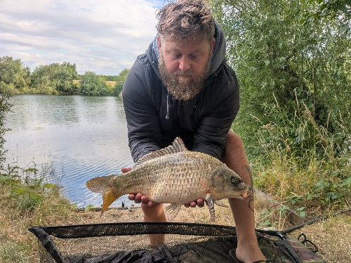 Fish Image