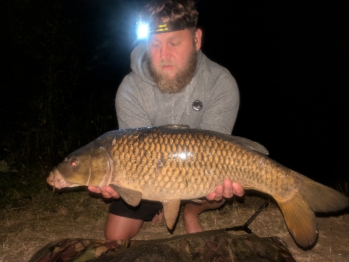 Fish Image